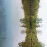 Image principale