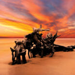 Belangrijkste afbeelding