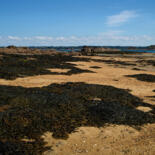 Belangrijkste afbeelding