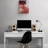 Artwork in situation