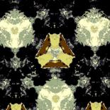 Image principale