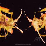 Belangrijkste afbeelding