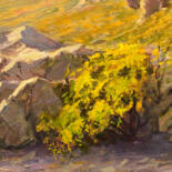 Additional views 5