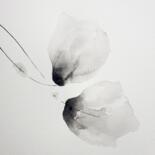 Image principale