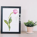 Work presented framed