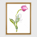 Work presented framed