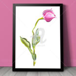Work presented framed
