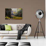 Artwork in situation