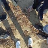 Belangrijkste afbeelding