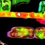 Aanvullende afbeeldingen 5