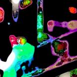 Aanvullende afbeeldingen 5