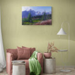 Artwork in situation
