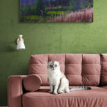 Artwork in situation