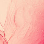 Details