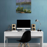 Artwork in situation