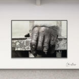 Artwork in situation