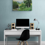 Artwork in situation