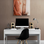 Artwork in situation