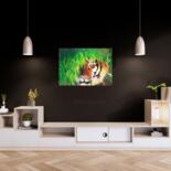 Opera d'arte in situazione