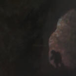 Dettagli