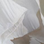 Additional views 5