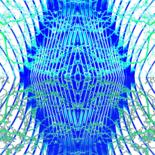 Image principale
