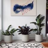 Artwork in situation
