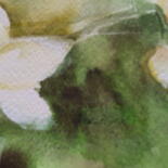 Additional views 6