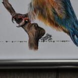 Additional views 5