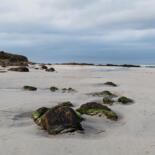 Belangrijkste afbeelding