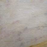 Surface ou texture de l'œuvre