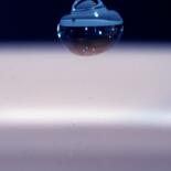 Belangrijkste afbeelding