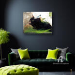 Artwork in situation