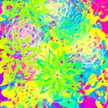 Image principale