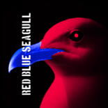 Image principale