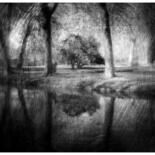 Image principale