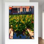 Artwork in situation