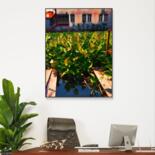 Artwork in situation