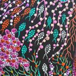 Aanvullende afbeeldingen 12