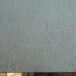 Additional views 9