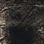 Details