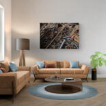 Artwork in situation
