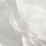 細部