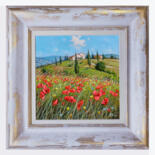 Vistas adicionales 12