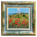 Vistas adicionales 12