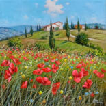 Vistas adicionales 12
