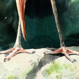 Détails