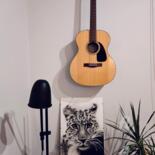 Artwork in situation