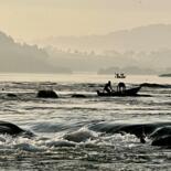 Belangrijkste afbeelding