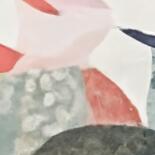 Additional views 5